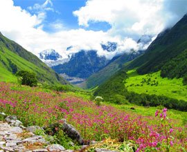 chardham with valley of flower