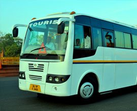 Bus Group Tour Delhi